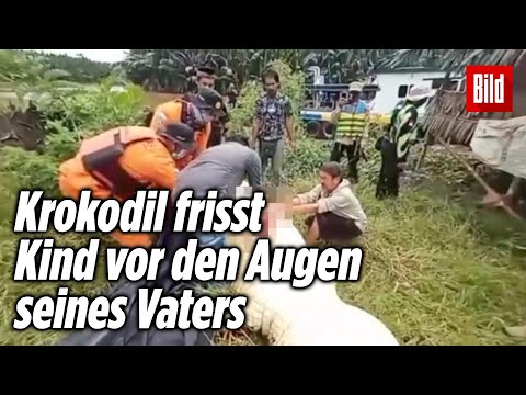 Video: Krokodil: Wo wohnt er? Wo leben Krokodile und was fressen sie?