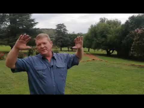 1171 Hektaar spogplaas op die Vredeford Koepel