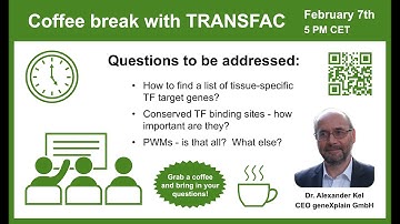 How to find a list of tissue-specific TF target genes