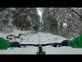 Home trails Winter edition.