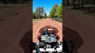 Shes A Ripper #ktm #ADV #shortvideo