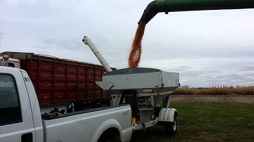 Test Plot Harvest