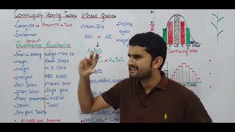 Ch.22 Lec 15 Continuously Varying Traits  Urdu/Hindi Lecture Fsc, MDCAT, NCERT By M Bilal Chaudhary.
