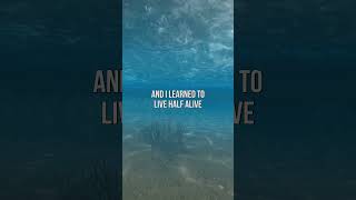 christina perri - jar of hearts (lyrics)