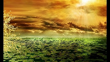 سورة الحجرات كامل الدليمي Alhujurat Kamil Al Dulaimy