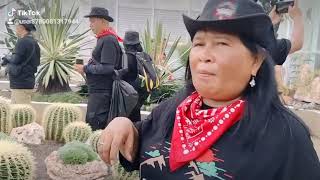 lagi acara trisakti d gunung gede ci bodas