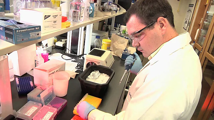 New Treatment for Auto-Immune Deficiencies Discovered by USM Researchers