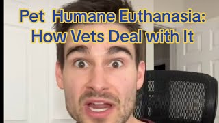 Pet Humane Euthanasia: How Do Veterinarians Deal With It