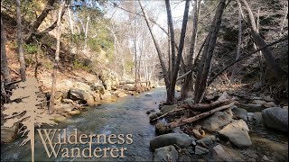 Creek With Natural Sounds for Sleep and Relaxation