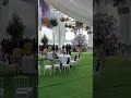 Live highlight