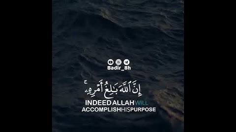 تلاوة خاشعة للشيخ:سعد الغامدي