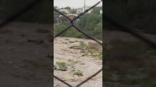 Person Swept Away by Rapidly Rising River in Mexico