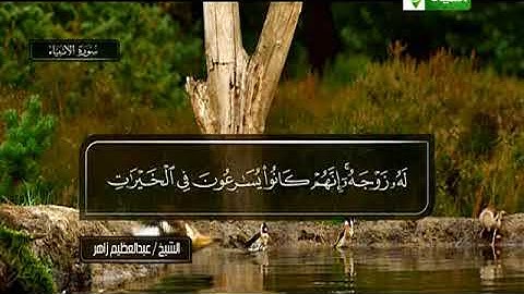 عبدالعظيم زاهر ـــ سورة الانبياء 90 الى 106