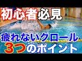 疲れないクロールを泳ぐ3つのポイント 水泳