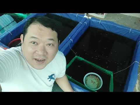 Video Tôi đã kiếm được hàng chục triệu đồng nhờ bí quyết của... - youtube
