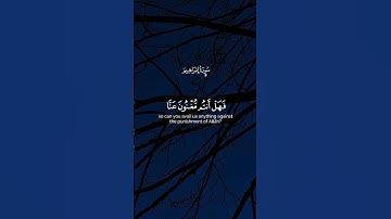 آيات من سورة إبراهيم🍂✨️ #quran #اسلاميات #راحة_نفسية #اكسبلور #explore #moon