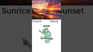CAN YOU TELL THE DIFFERENCE?! 🌅🌇 (Sunrise vs Sunset)