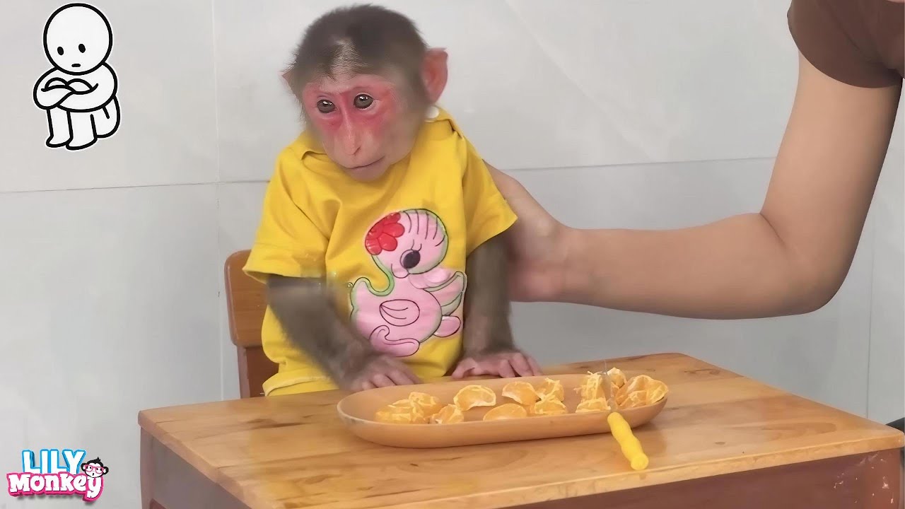 So touching! Lily’s sad days without dad by her side... | Lily's story