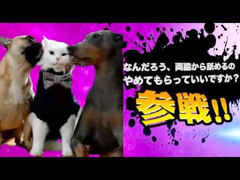 ヤバ過ぎネッコ全員参戦！！part74