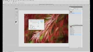 Cheryl Machat Dorskind: Creating a Photo Border