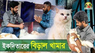 ইকতিদারের বিড়াল খামার | Cat Firm | Chittagong Live
