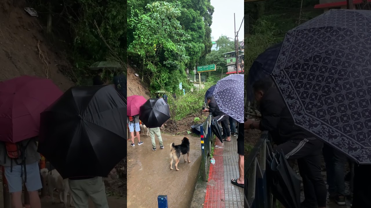 Darjeeling Landslide 2025 🌧️ | Massive Rainfall & Road Block Update 🚨