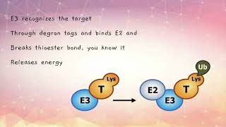 Ubiquitin Ligase -- Parody of "Espresso" by Sabrina Carpenter
