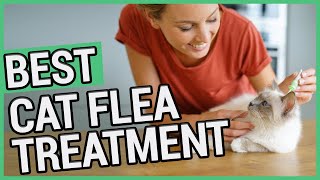 Best Flea Treatment For Cats | 5 Best Cat Flea Treatments 2021  ✅