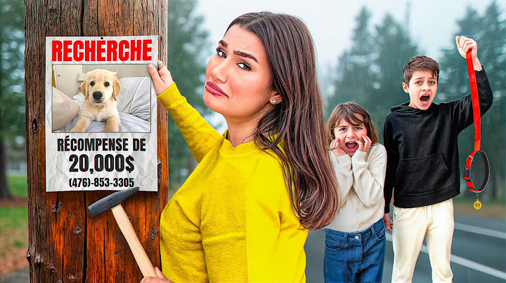 On a PERDU Notre CHIEN  - NANA !