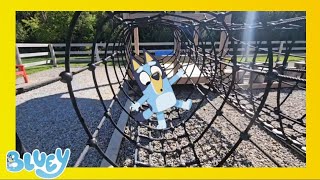 Get Active in Bluey's Obstacle Course ‼️ Learning Video for Toddlers and Kids