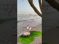 وفقنا الله وإياكم لما يحب ويرضى