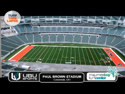 new turf at paul