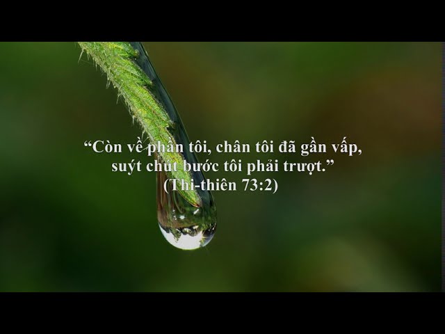 DƯỠNG LINH - Thi Thiên 73: Thi Thiên Dành Cho Đức Tin Trượt Ngã