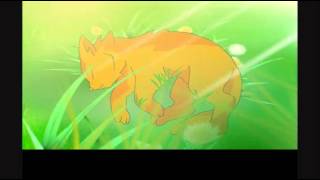 SSS Warrior cats intro - English SSS Warrior cats intro - English