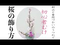 桜を簡単に飾るコツ　スイートピーと桜で花材費398円。誰でもできる暮らしになじむかわいいお花の生け方