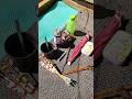 peralatan yang saya bawa saat mancing #fishing #mancing