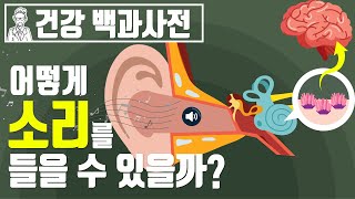 우리 몸은 어떻게 소리를 들을 수 있을까? 청각의 원리 @SEMOJI