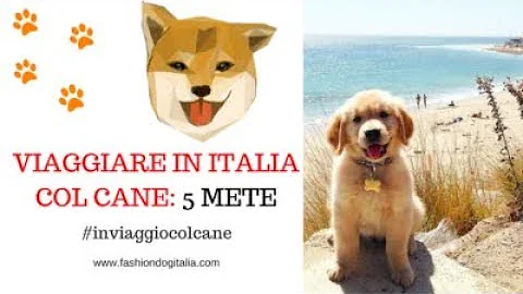 Dove andare in vacanza con cane in Italia?