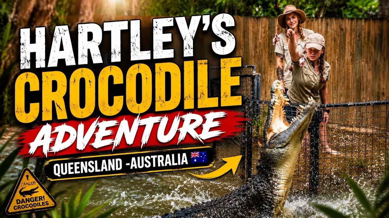 Hartleys Crocodile Adventure - Wangetti - Queensland - Australia