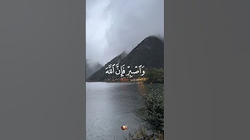 سورة هود 🌟 القارئ فارس عباد🌙 #قرآن