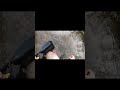 #fishing #shortvideos #shortsvideo #short #shorts