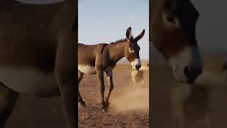Don't Mess with the Donkey: The Savanna's New Boss! Hashtags: #DonkeyPower #HyenaRegret