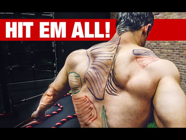 Best Back Workout Video Ever (HIT EVERY MUSCLE!!) 