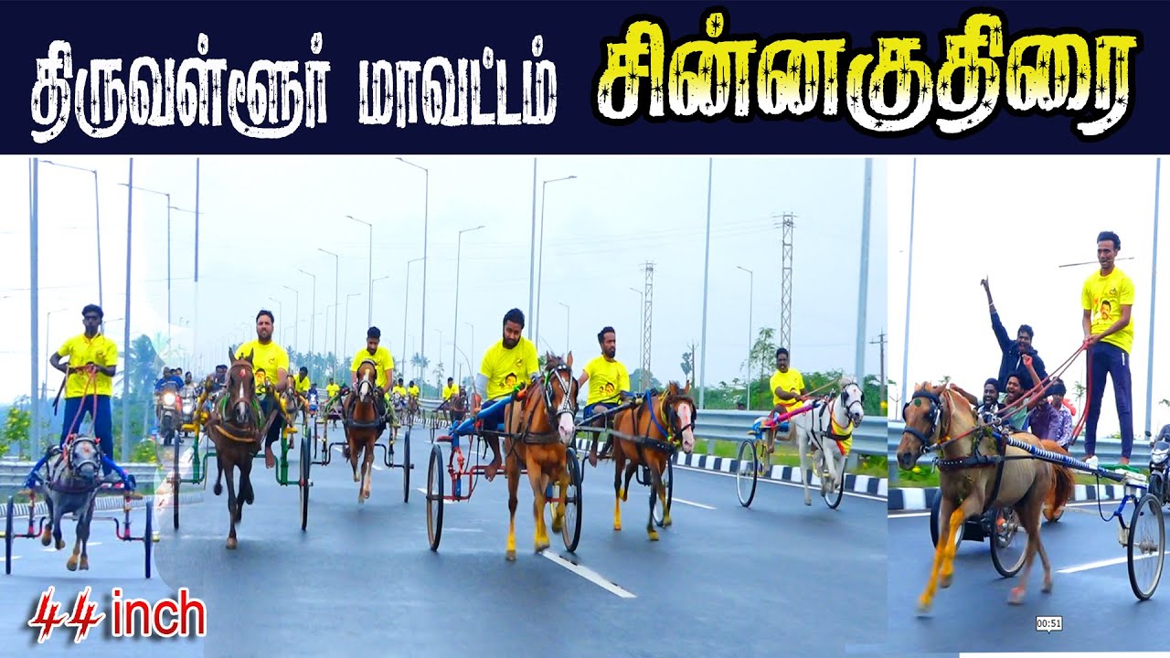 திருவள்ளூர் மாவட்டம் புதிய குதிரை 25-01-2026