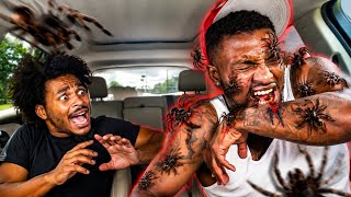Extreme Spider Bite Prank 🕷️