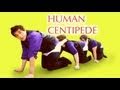 Human Centipede Parody: A Day in the Life