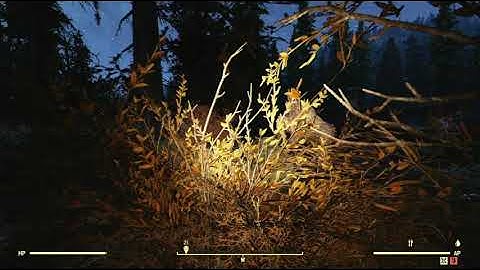 Savage Divide Object Random Encounter Hotspot #17 - Fallout 76