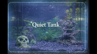 🌿 Peaceful Aquarium Livestream | Sit Back & Enjoy The Fish & Music