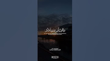 سورة هود | #الله #allah #القران_الكريم #القرآن_الكريم #foryou #fy #explore #اكسبلور #عبدالباسط #fyp