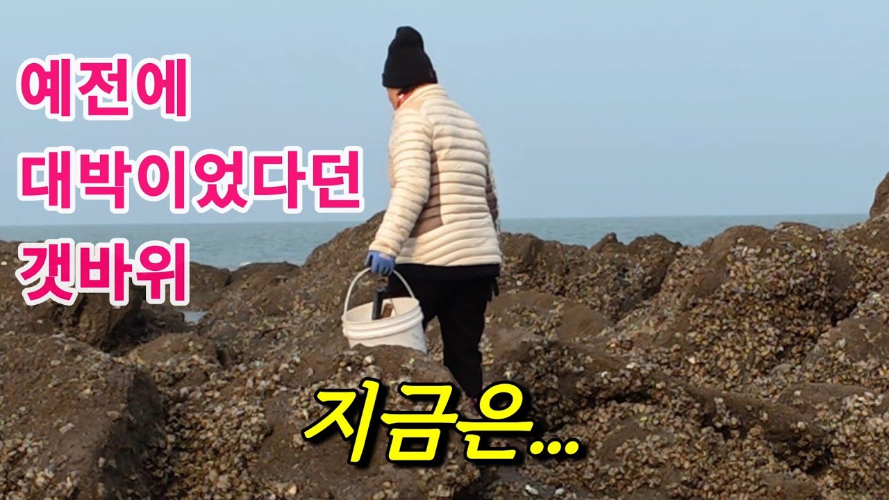 예전에 대박이었다던 갯바위 포인트, 동네분들 따라 가봤습니다